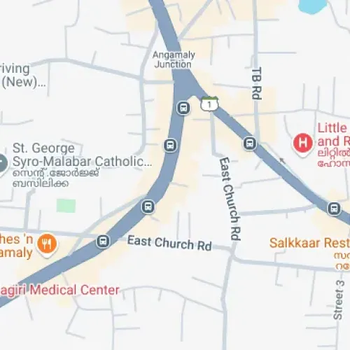 59RP+7PC, above union bank, near LF Hospital, Angamaly, Kerala 683572, India